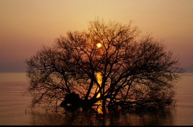 ���i�΂̒�