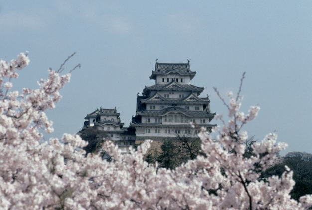 �P�H��̂�����