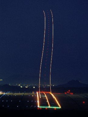 ������`�̖�i