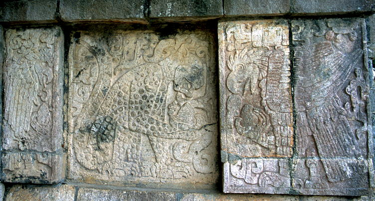 �W���K�[�Ƙh