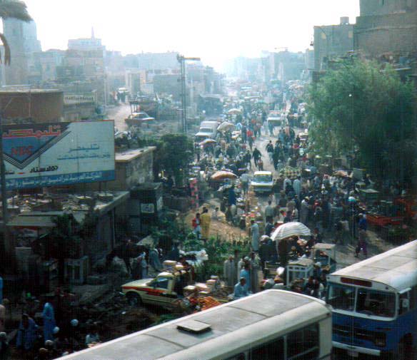 �J�C���̎G��