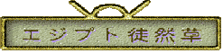 エジプト徒然草