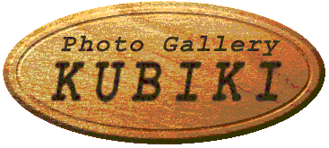 Photo Gallery KUBIKI �z�[���y�[�W��