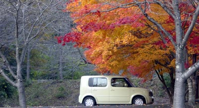 ぽつんと。。。